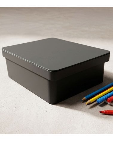 Caja Ordenación BeClassic con Tapa de Plástico