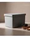 Caja Ordenación BeClassic 20 Litros con Tapa